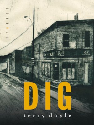 cover image of Dig